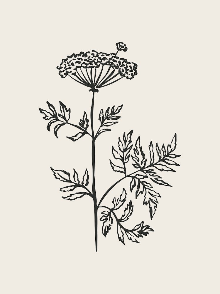 Black Fine Line Flower Poster