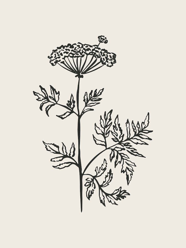 Black Fine Line Flower Poster