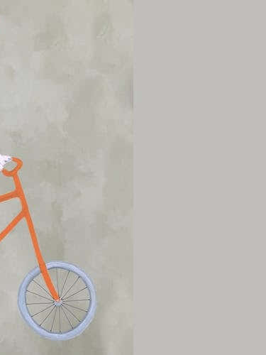 Chihuahua On Bicycle