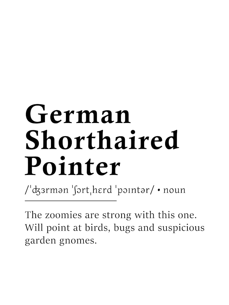 German Shorthaired Pointer Definition Poster - Dictionary