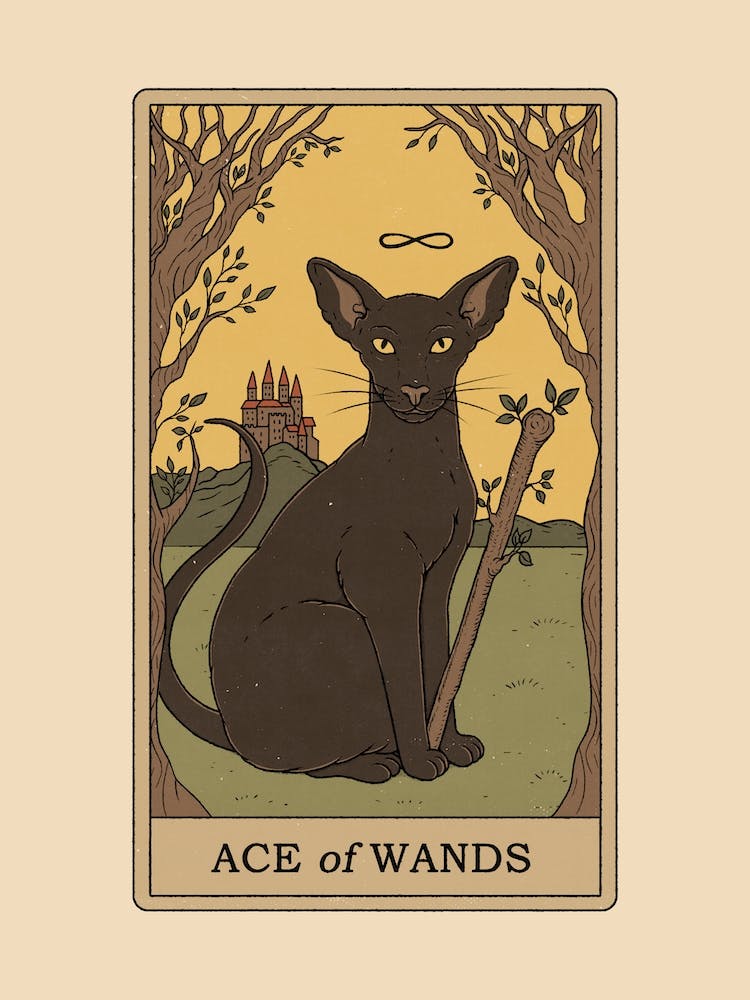 Ace Of Wands   Cats Tarot