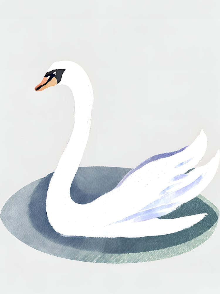 Swan