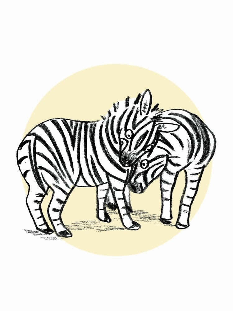 Zebra Couple