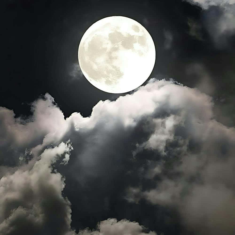 Full Moon In The Sky 8