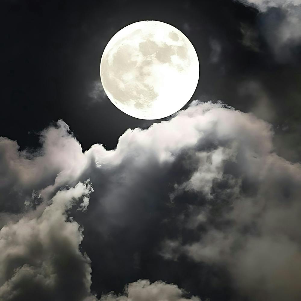 Full Moon In The Sky 8