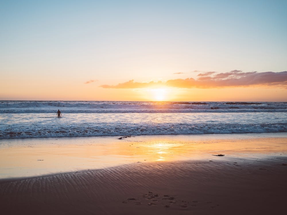 Venice Beach Surfer III