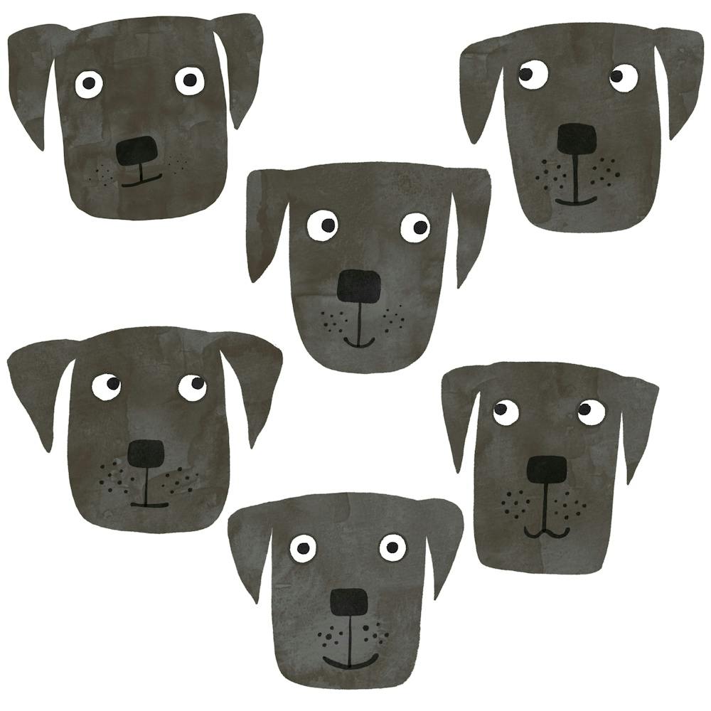 Fun Black Labrador Retriever Dogs