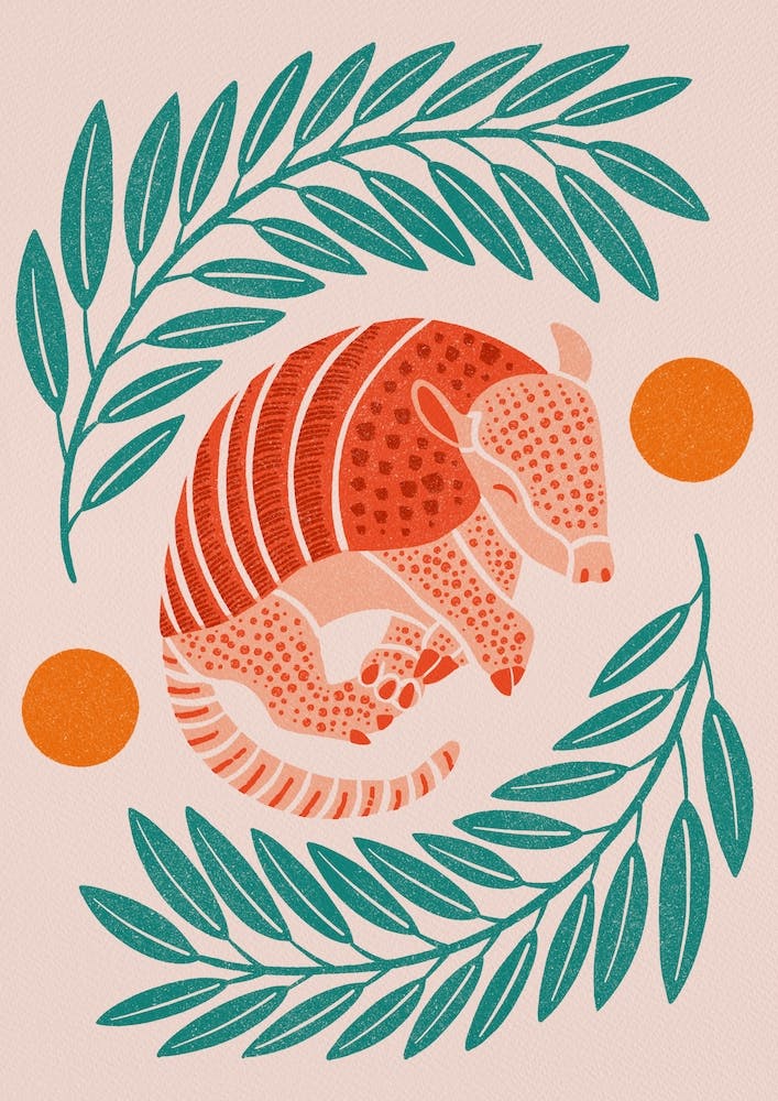Armadillo   Orange And Teal