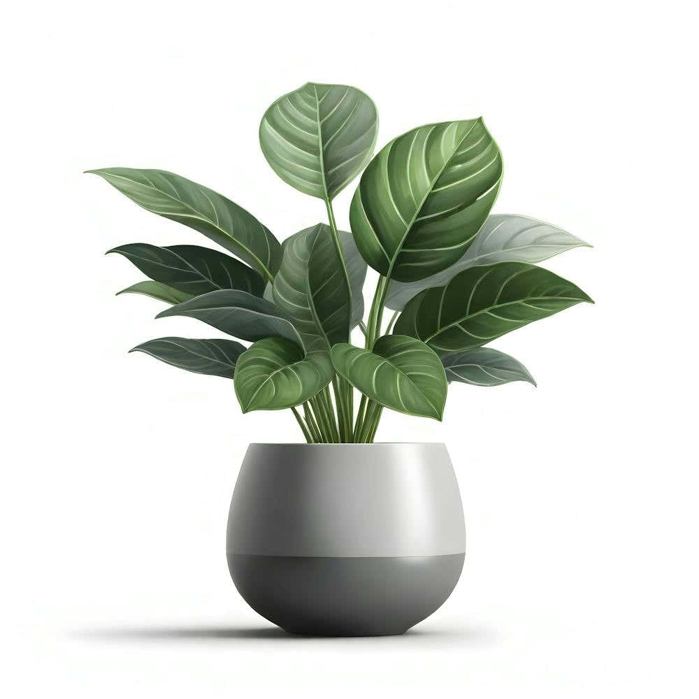 Digital Painting Potted Plant Plant Leaves Green Plant Nature Pot