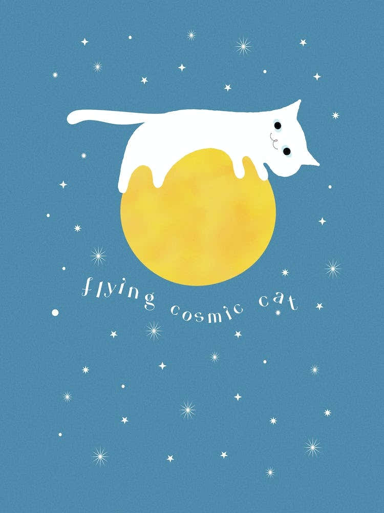 flying cosmic cat - space in the moon