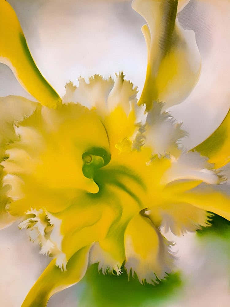 Georgia O'Keeffe - An Orchid. 1941 1