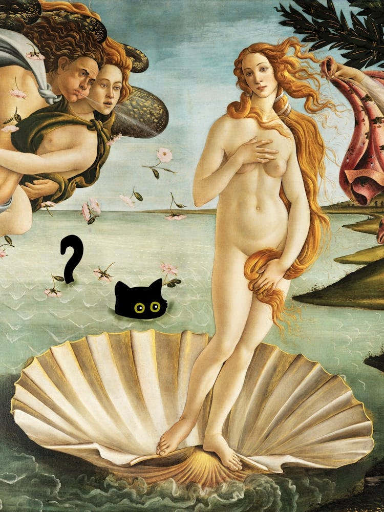 Black Cat Sandro Botticelli S The Birth Of Venus
