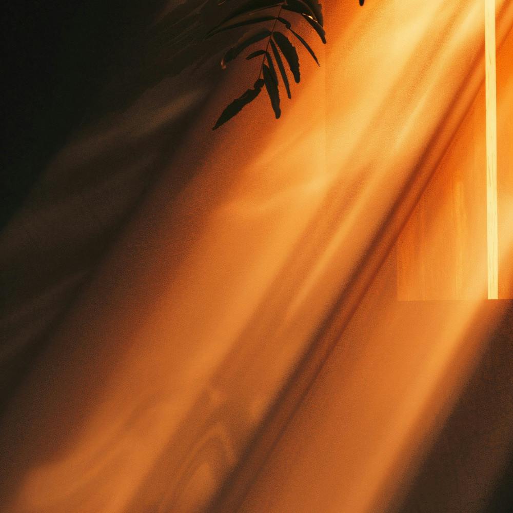 Light Shining Through A Window