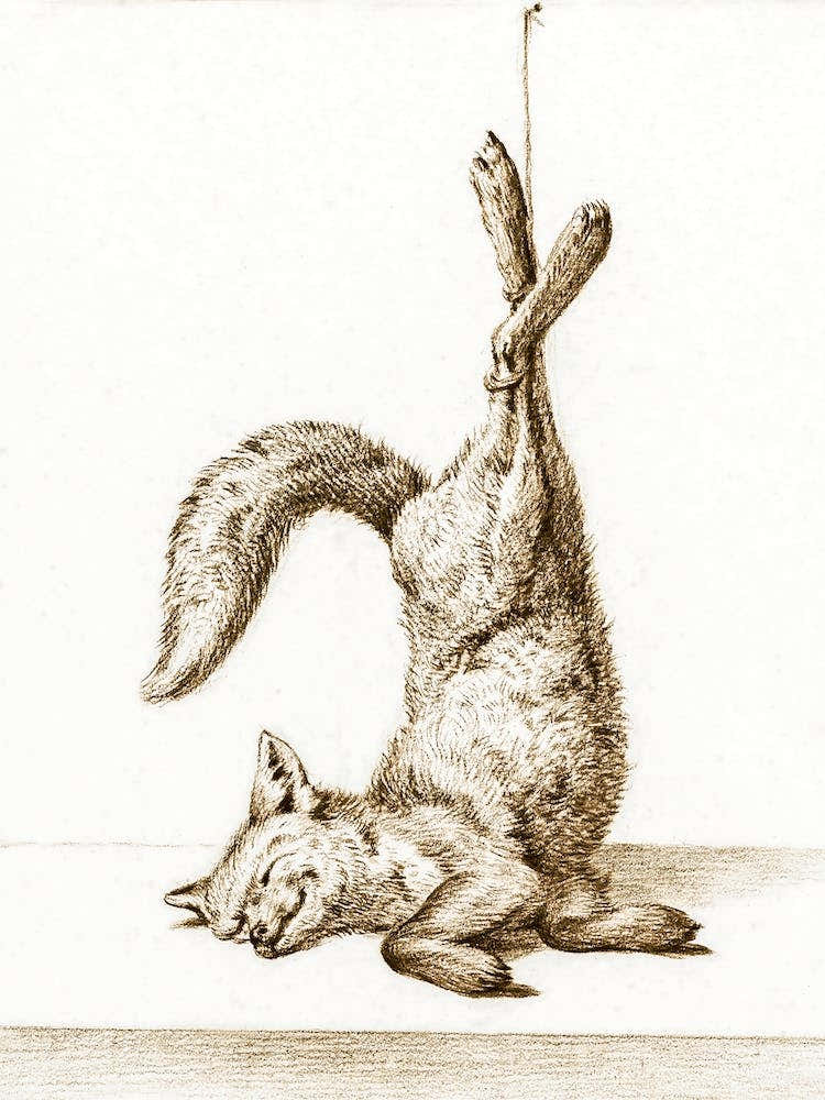 Dead Fox, Hanging From His Paws, Jean Bernard