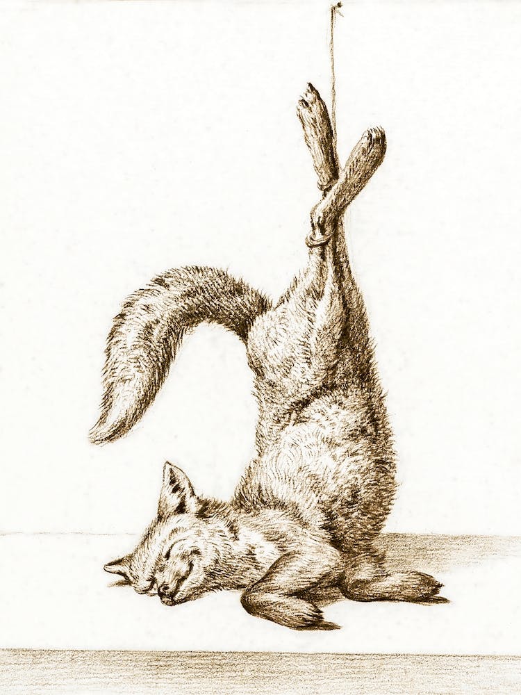 Dead Fox, Hanging From His Paws, Jean Bernard