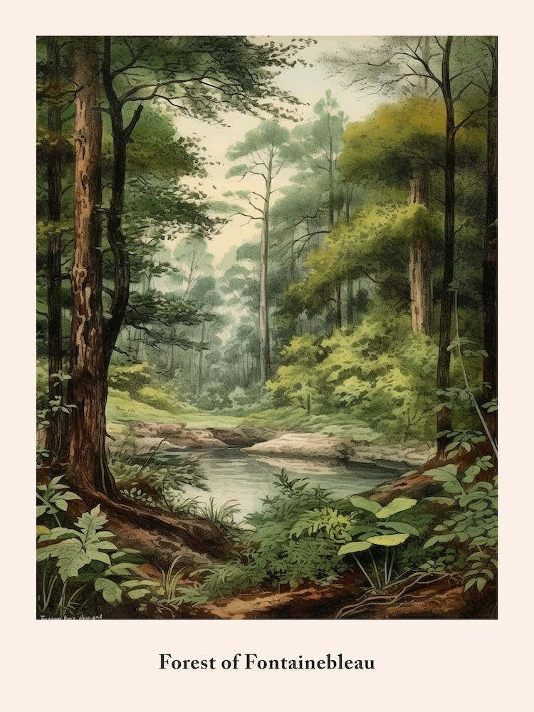 Forest Of Fontainebleau