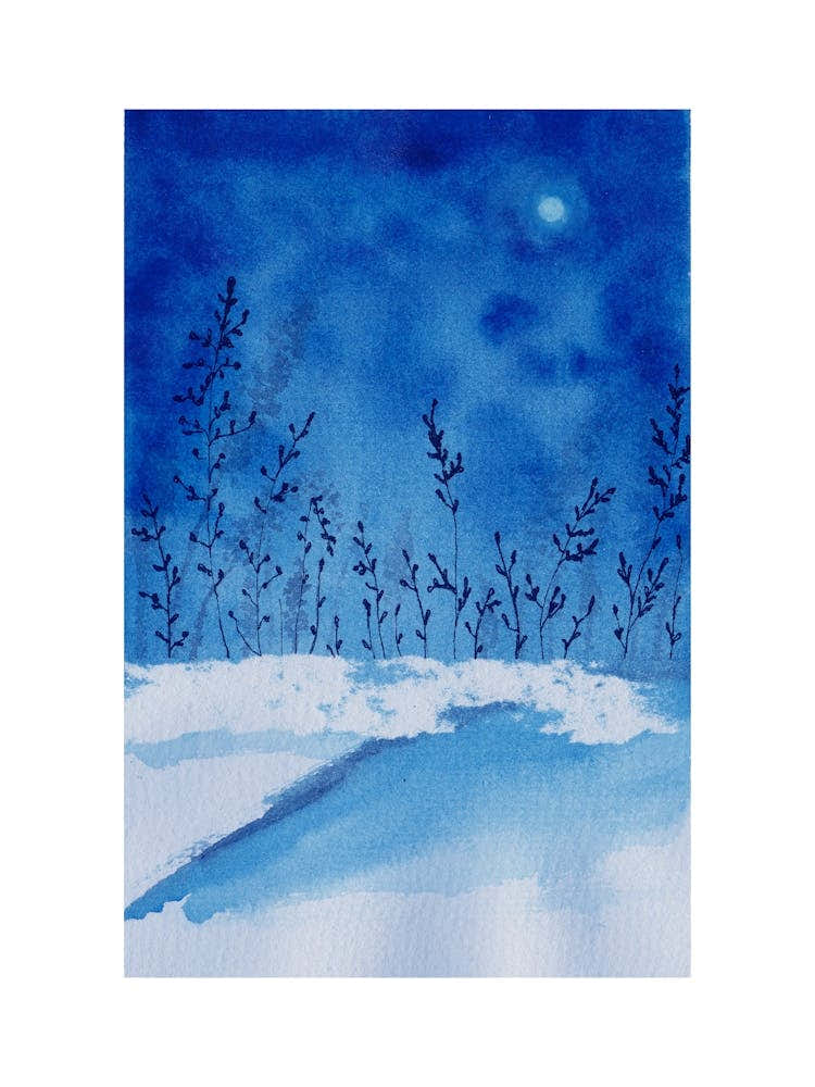 Moonlight In The Snow