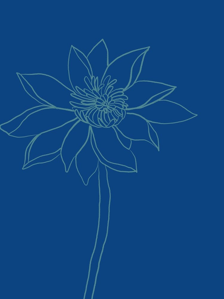 Transparent Lotus Flower