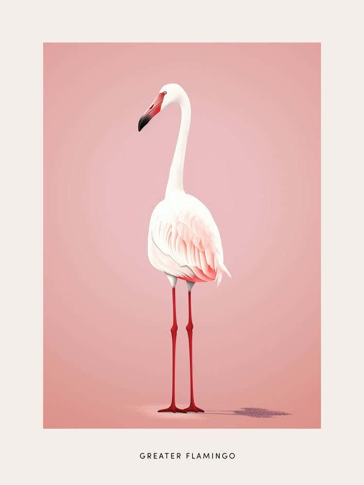 Minimalist Greater Flamingo 1 Bird Poster