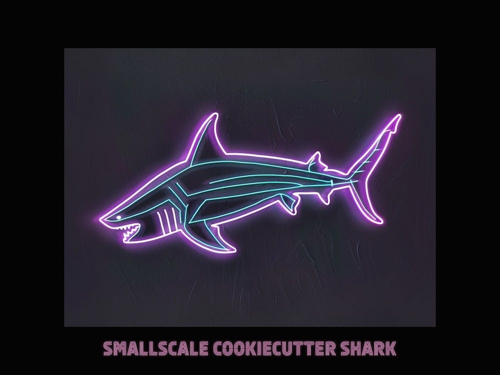 Neon Pink Purple Smallscale Cookiecutter Shark Poster 1