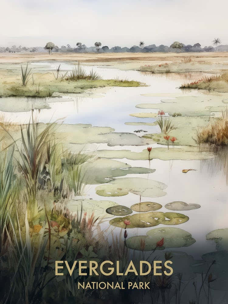 Everglades National Park Watercolour Vintage Travel Poster 4