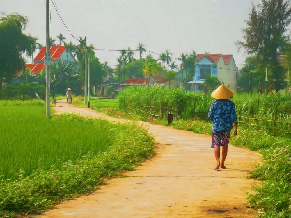 Rural Community Vietnam