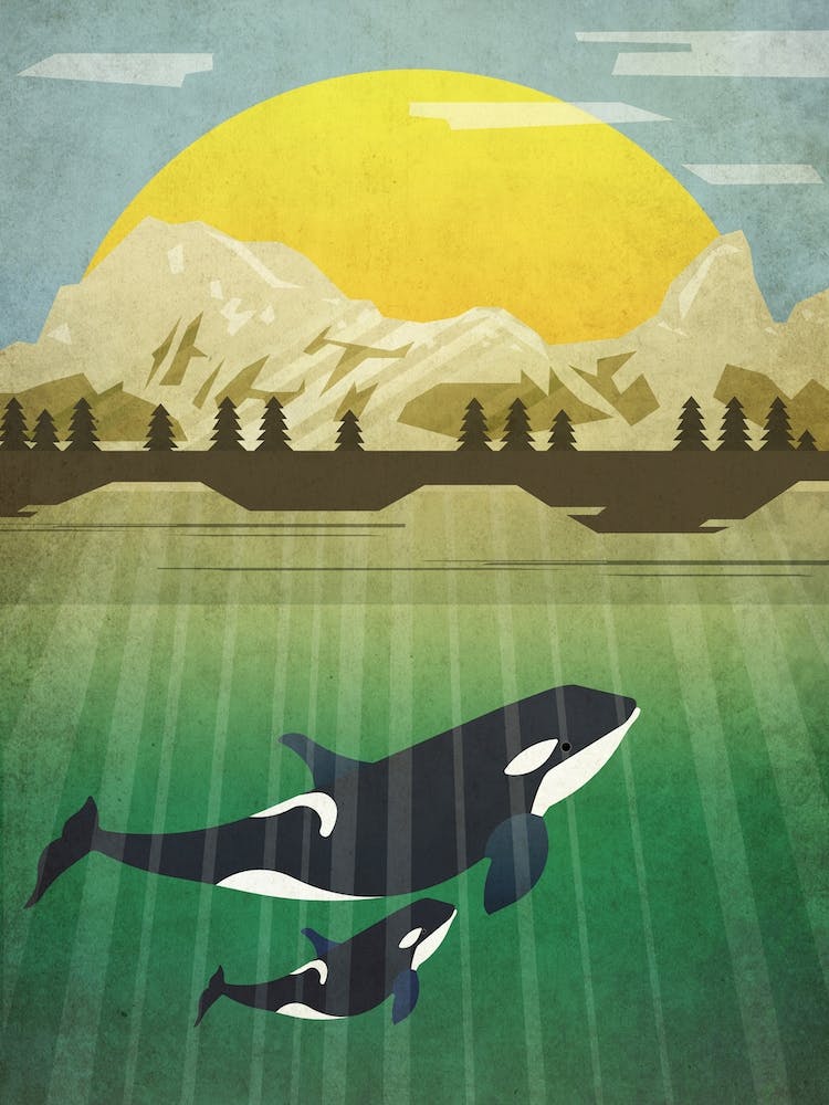 Illu Orca