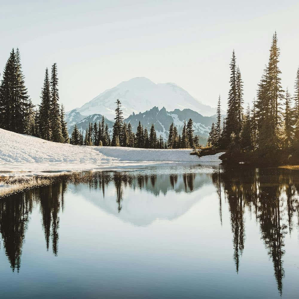 Mountain Forest Reflection Square