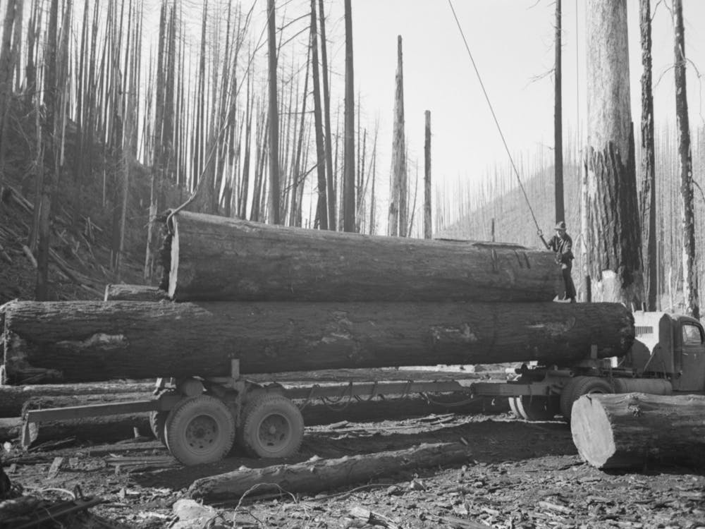 Loading Logs Onto Truck For Transportation To Mill, Gyppo Logging Operations, Tillamook County, Oregon