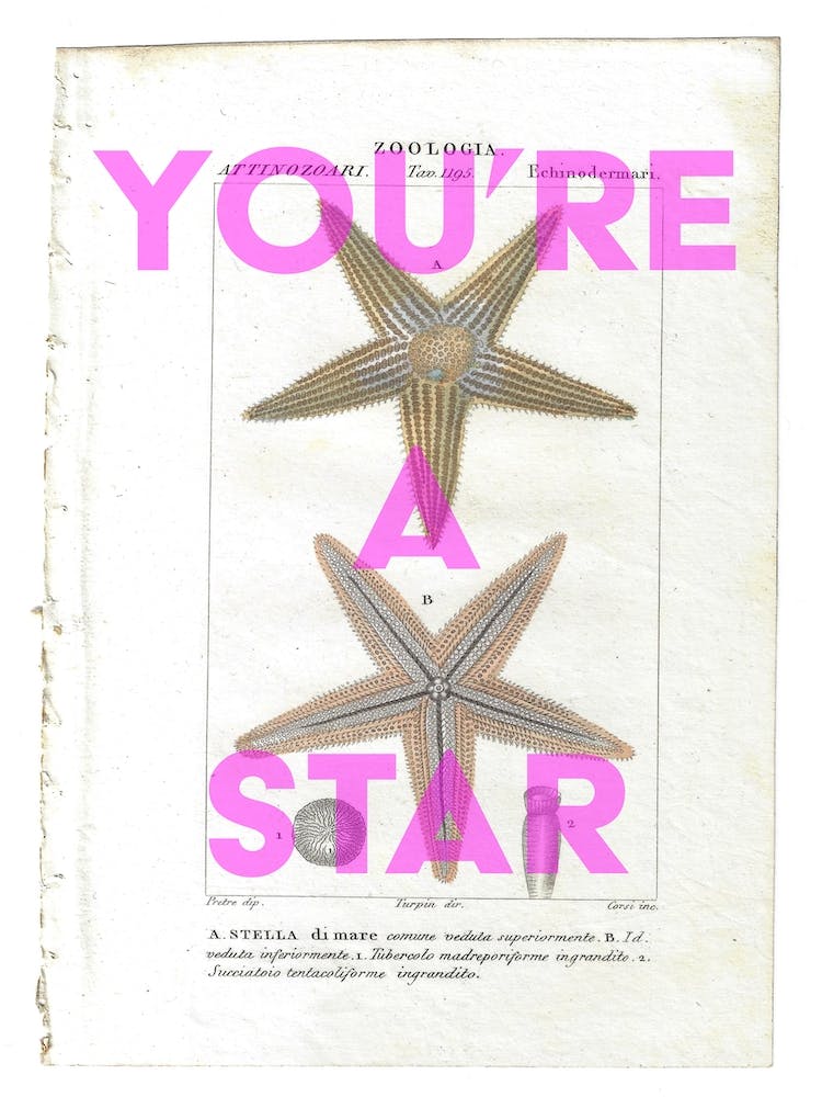 You're A Star Vintage Starfish