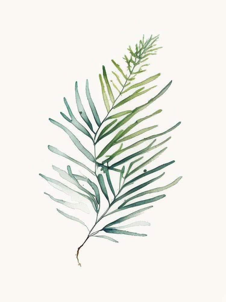 Yew Leaf Minimalist Watercolour 1