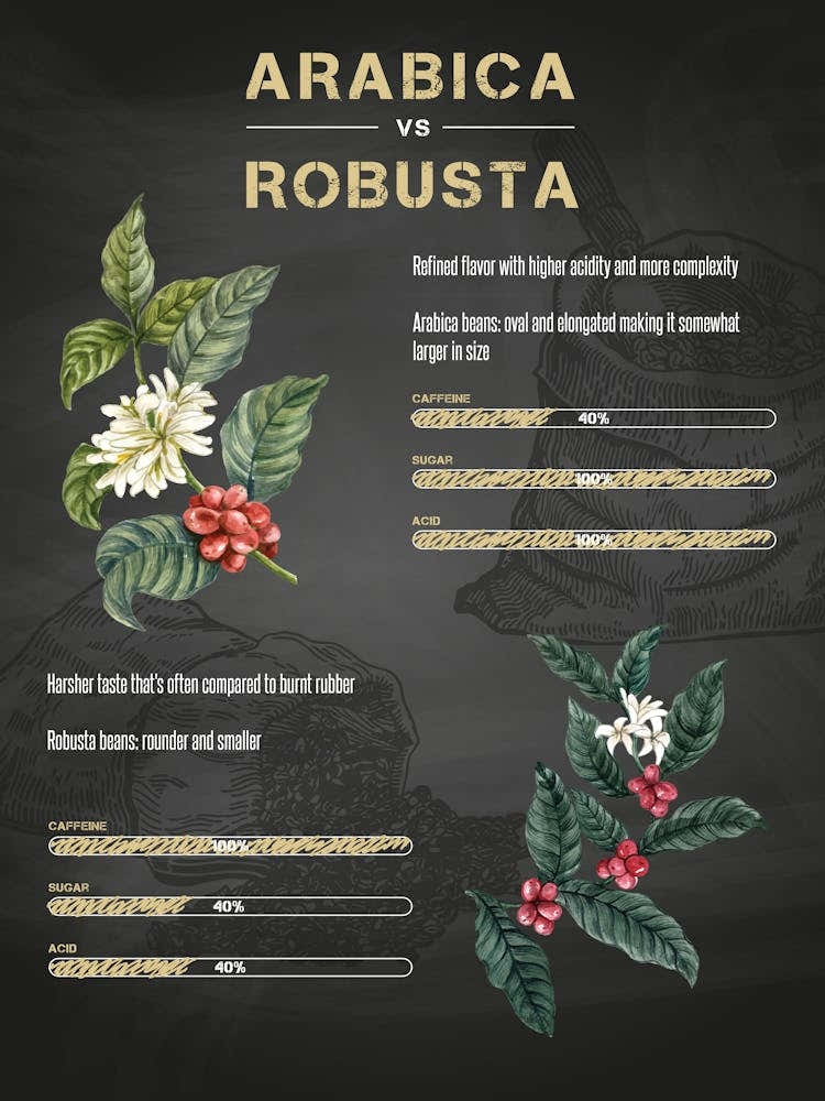 Arabica Robusta — coffee poster, kitchen art print