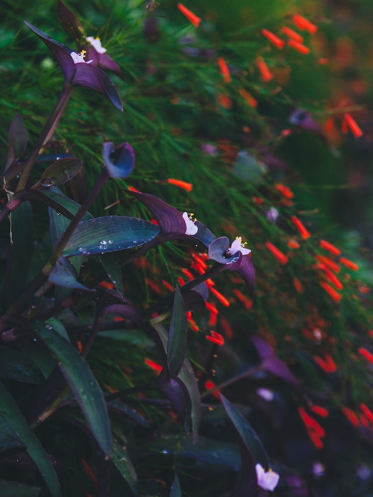 What The Water Gave Me