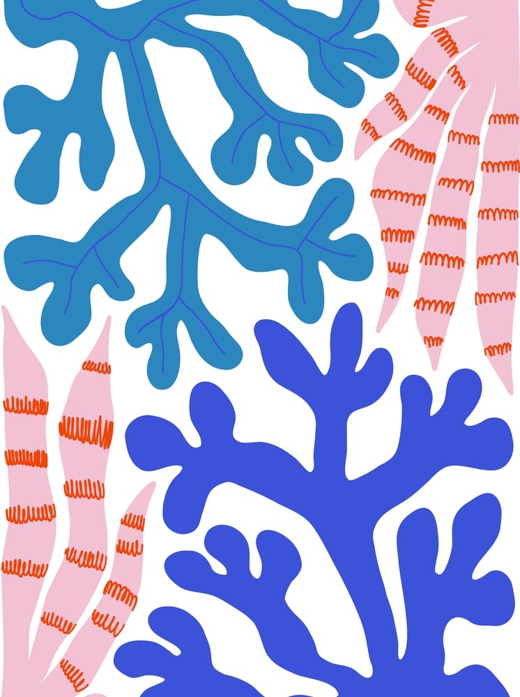 Coral Reef Ocean Collection Boho