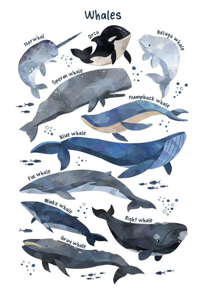 Watercolour Whales