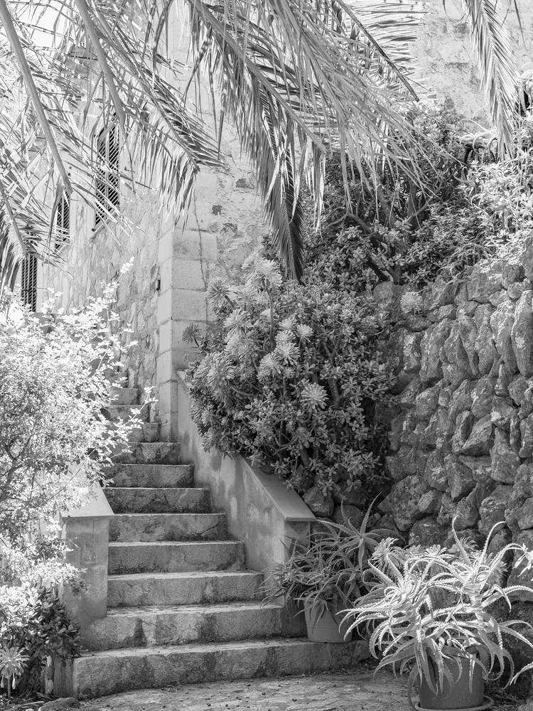Ibiza Stairway To Paradise