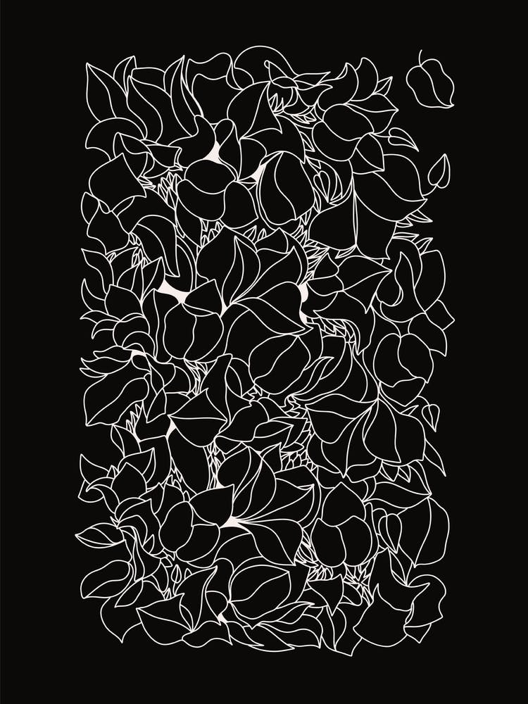 Bougainvillea linear art drawing