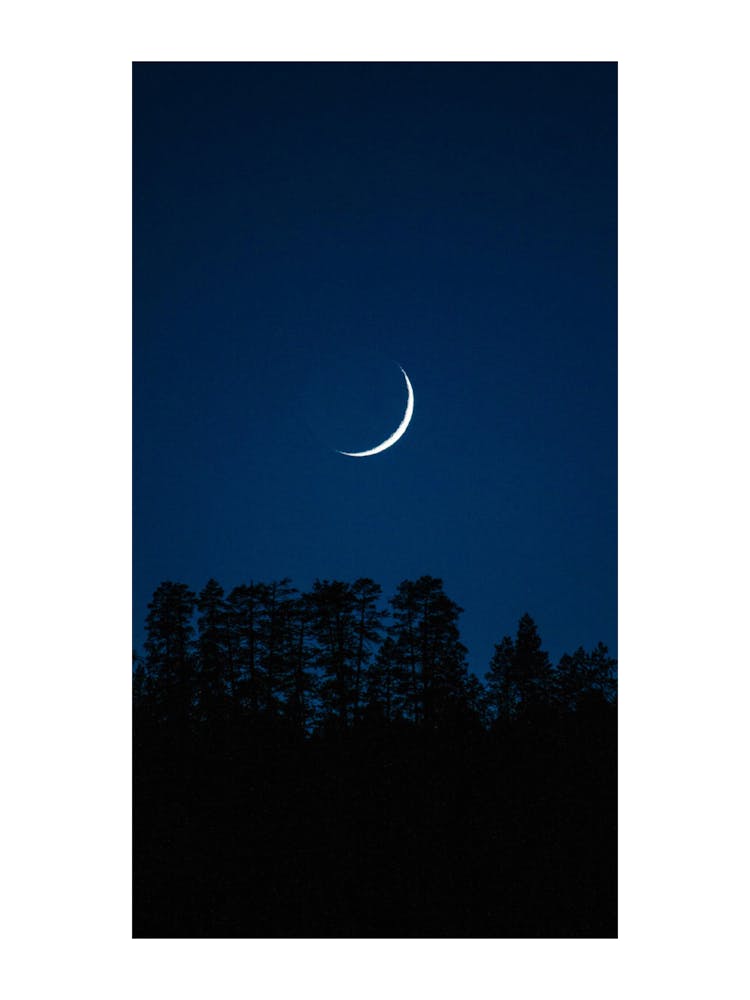 Magic night