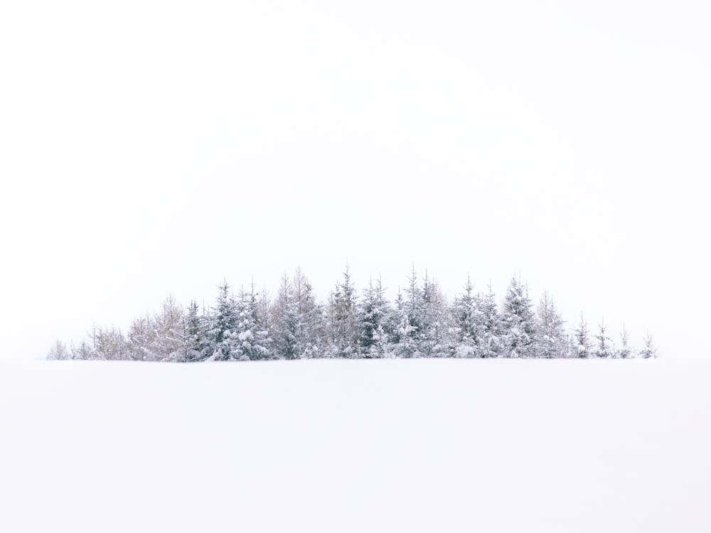 Minimalistic Snowy Landscape