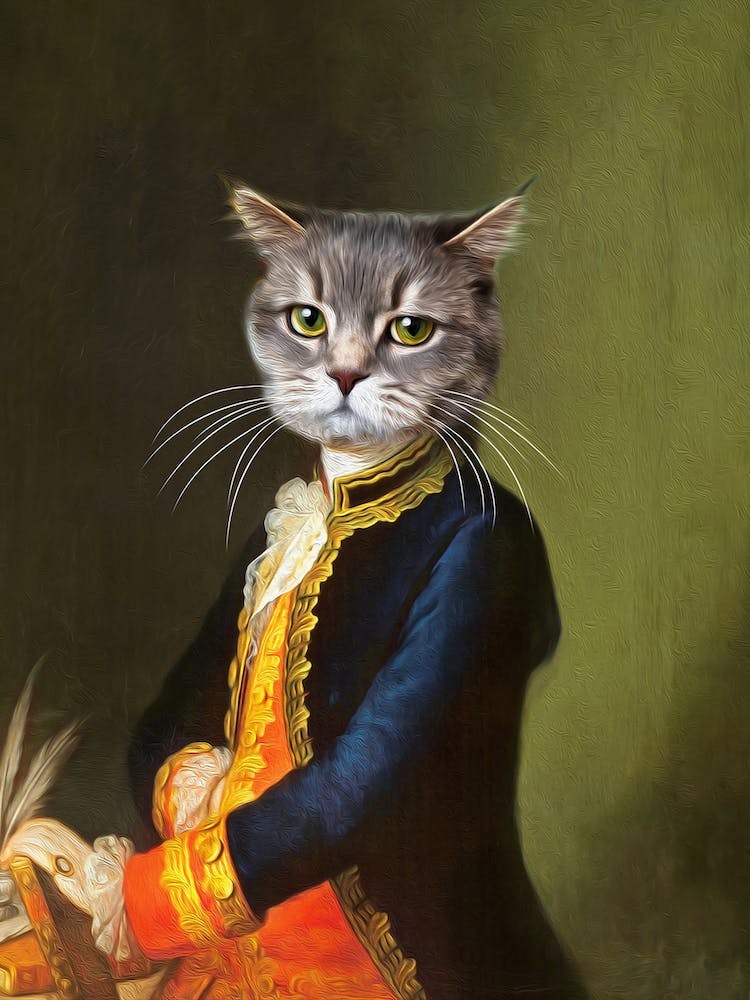 Curious Abel Britisch Shorthair Cat Pet Portraits