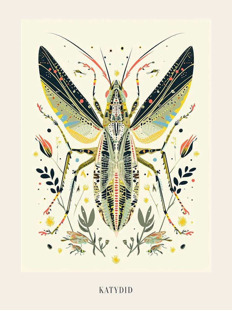 Colourful Insect Illustration Katydid 12 Poster