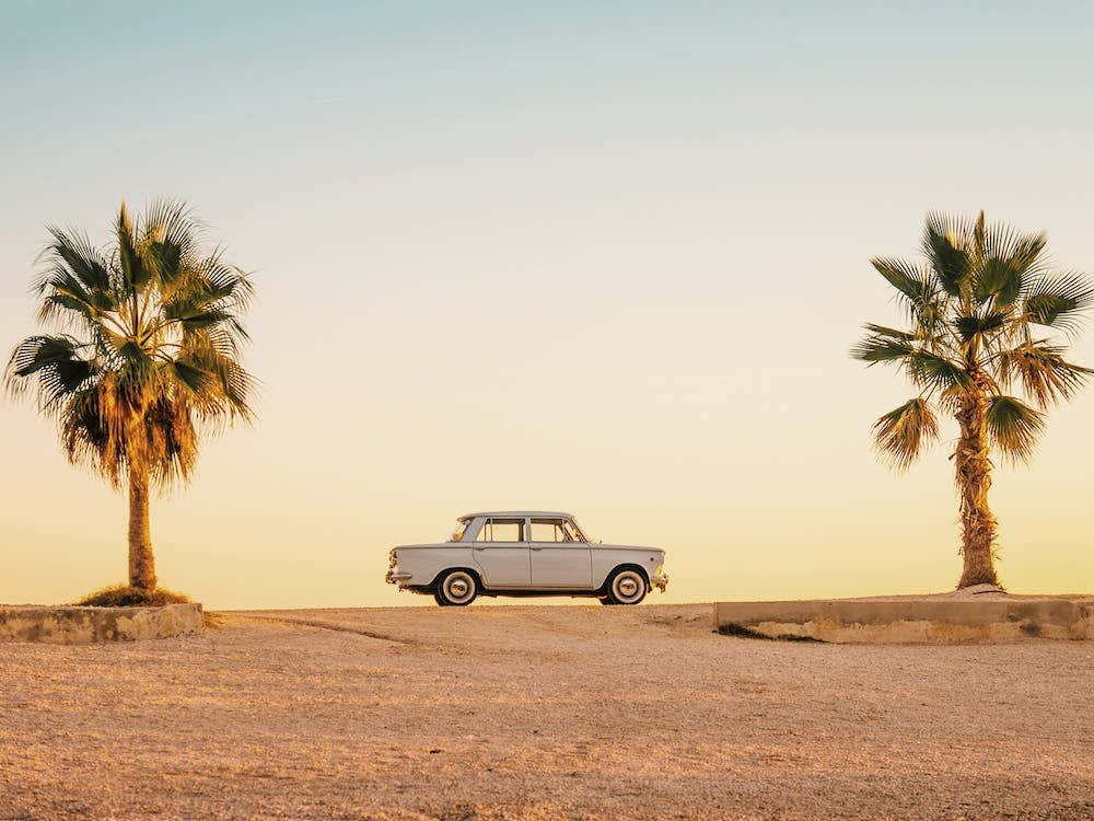 Car Between Palms