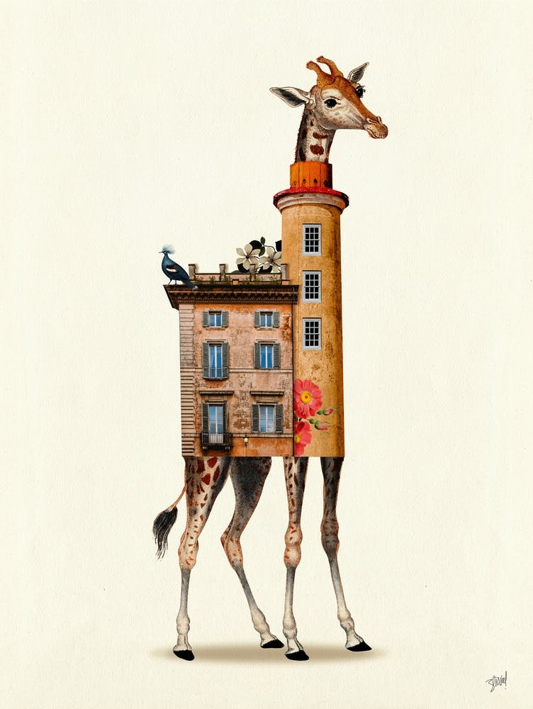 Urban fauna - Giraffe