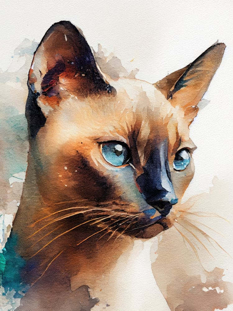 Siamese Cat animal 1