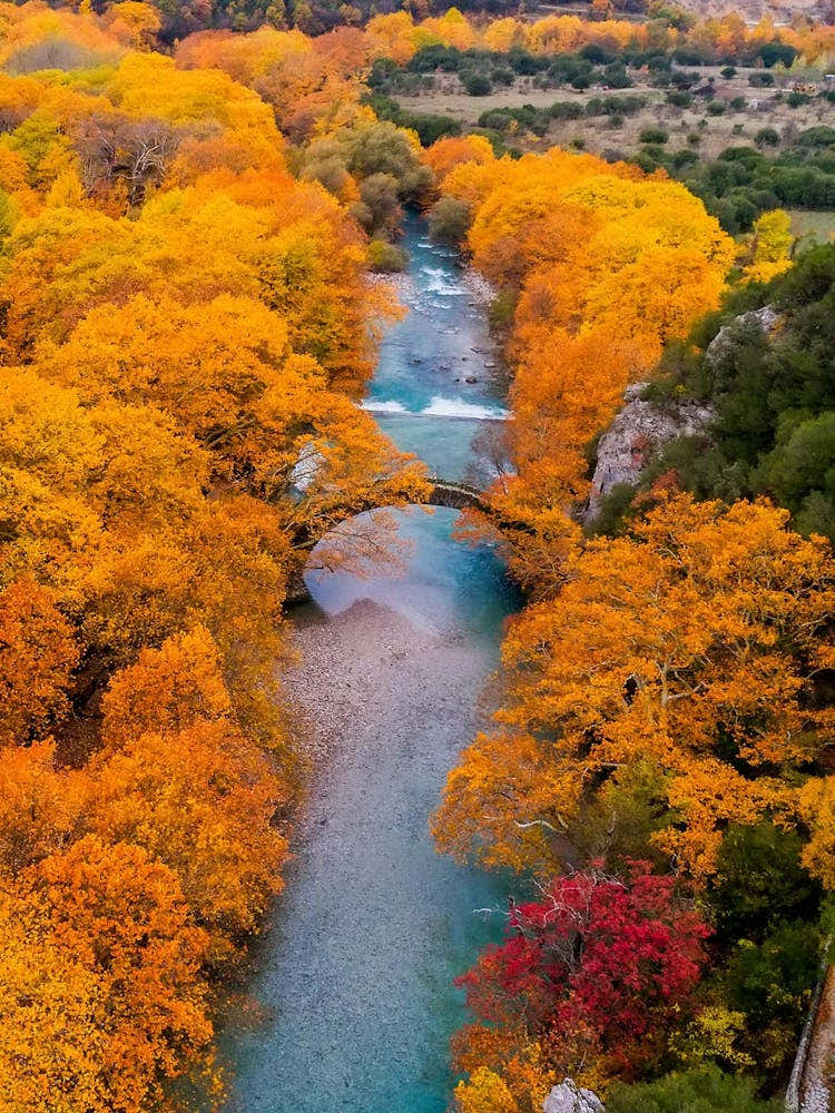 Autumn In The Mountains 3