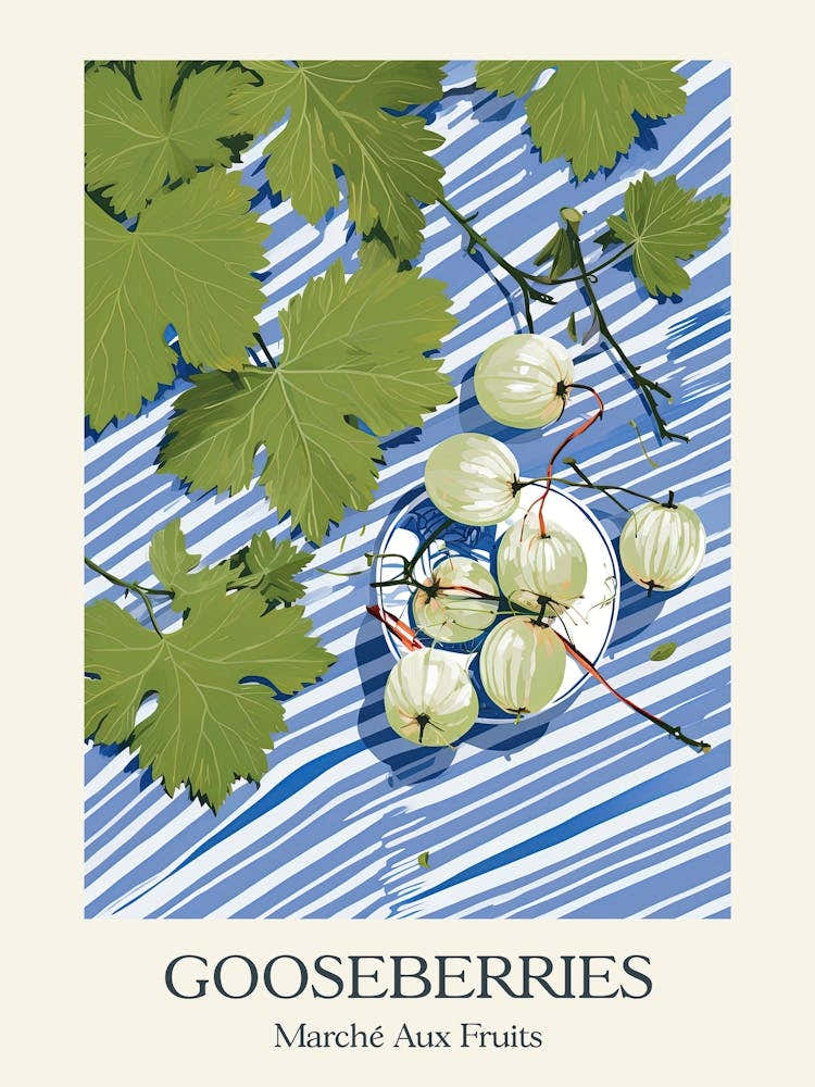 Marche Aux Fruits Gooseberries Fruit Summer Illustration 4