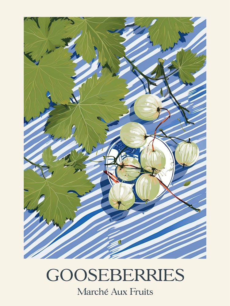 Marche Aux Fruits Gooseberries Fruit Summer Illustration 4