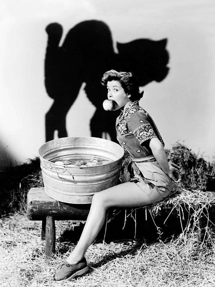 Beautiful Pin Up Bobbing For Apples, With Shaddow Of A Big Black Cat Above Her