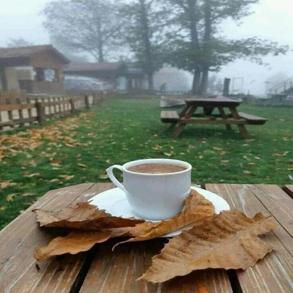 Autumn Leaves On A Table