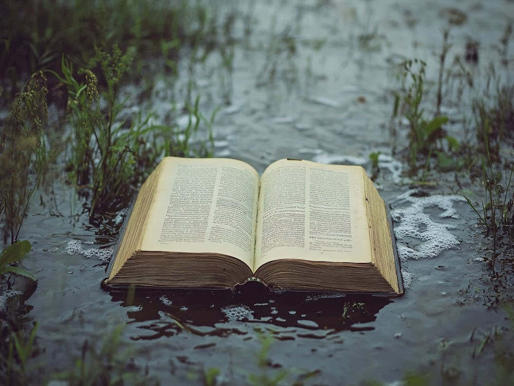 Open Book In Water
